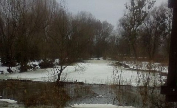 Przekroczone stany alarmowe na Dolnym Śląsku