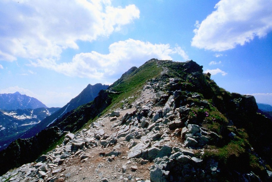 Przełęcz Krzyżne /PAP/Tomasz Gutry  /PAP