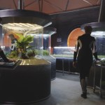 Przełom na Marsie: jadalne rośliny wyrosły z czerwonego pyłu