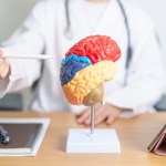 Przełom w badaniach nad starzeniem się mózgu? Naukowcy na tropie rewolucyjnego odkrycia