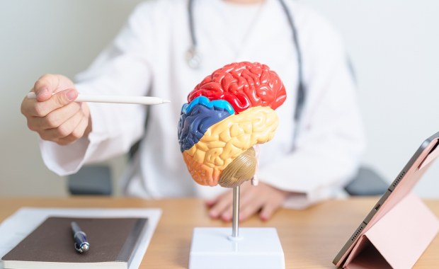 Przełom w badaniach nad starzeniem się mózgu? Naukowcy na tropie rewolucyjnego odkrycia