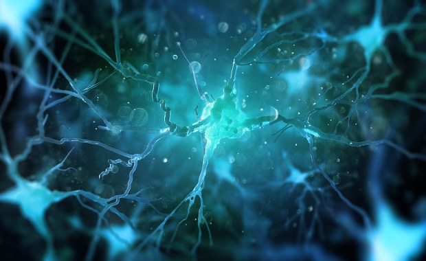 Przełom w leczeniu Alzheimera? Nowy lek zatwierdzony w USA