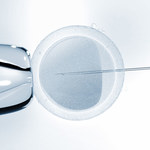 ​Przełom w medycynie - zapłodnienie in vitro w macicy