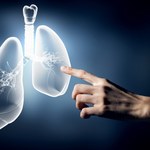 Przełom w transplantologii - naukowcy wyhodowali "nowe" płuca