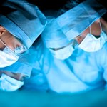 Przełom w transplantologii