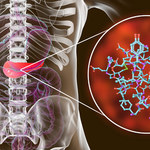 Przełom w walce z cukrzycą typu 1. Komórki macierzyste na ratunek wyspom trzustkowym