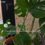 Przełom w walce z demencją. Okulary CrossSense z asystentem AI Wispy