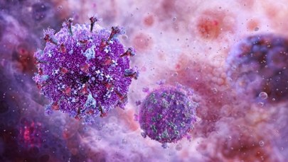 Przełom w walce z HIV? Obiecujące odkrycie naukowców