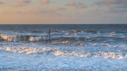 Przełom w walce ze zmianami klimatu? Innowacyjna metoda, która może zmienić wszystko