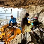 prehistoria Przełomowe odkrycie w prehistorii Pirenejów. Ludzie osiedlali się naprawdę wysoko
