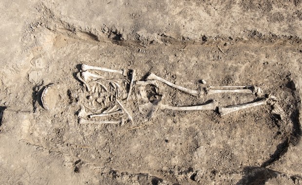 Przełomowe znalezisko. To najstarszy rodzinny pochówek w Polsce?
