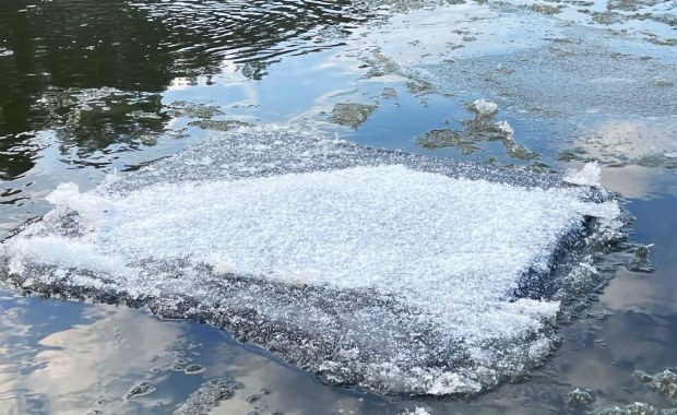 ​Przemycają papierosy rzeką na tratwach udających krę