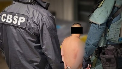 Przemycali narkotyki w ziemniakach. Gang "Kamela" rozbity