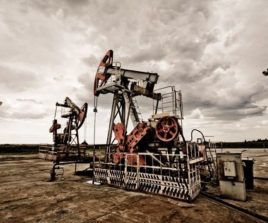 Przemysł naftowy w USA w obliczu szoku cenowego