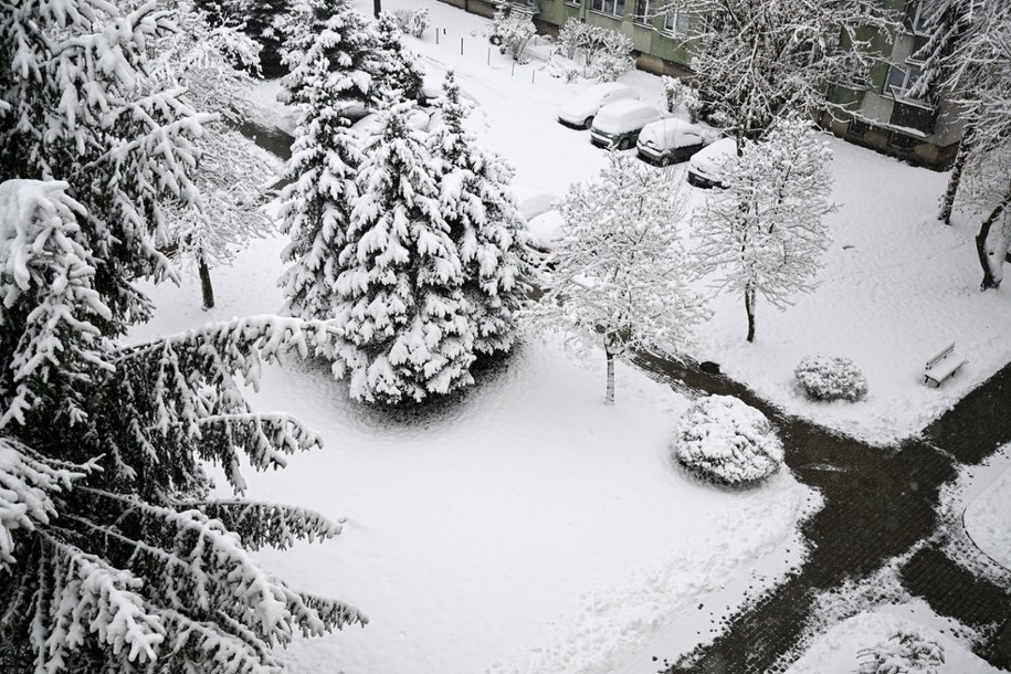 Przemyśl po nocnych opadach śniegu /Darek Delmanowicz /PAP