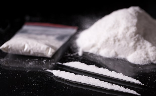 Przemyt 700 kg kokainy. Dwaj mężczyźni z zarzutami 