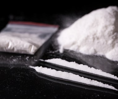 Przemyt 700 kg kokainy. Dwaj mężczyźni z zarzutami 