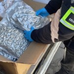 marihuana Przemyt marihuany udaremniony. Pies Furia znalazł narkotyki w sortowni przesyłek