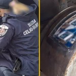 Przemyt papierosów udaremniony. Służba celna w akcji