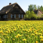 Przeniosą kościół w inne miejsce. Skansen w Polsce zyska nowy zabytek