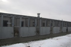Przepełnione schronisko dla zwierząt w Lublinie