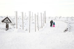 Przepiękna zima w Karkonoszach 