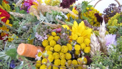 Przepiękne bukiety ziół przygotowane przez mieszkańców Lublina