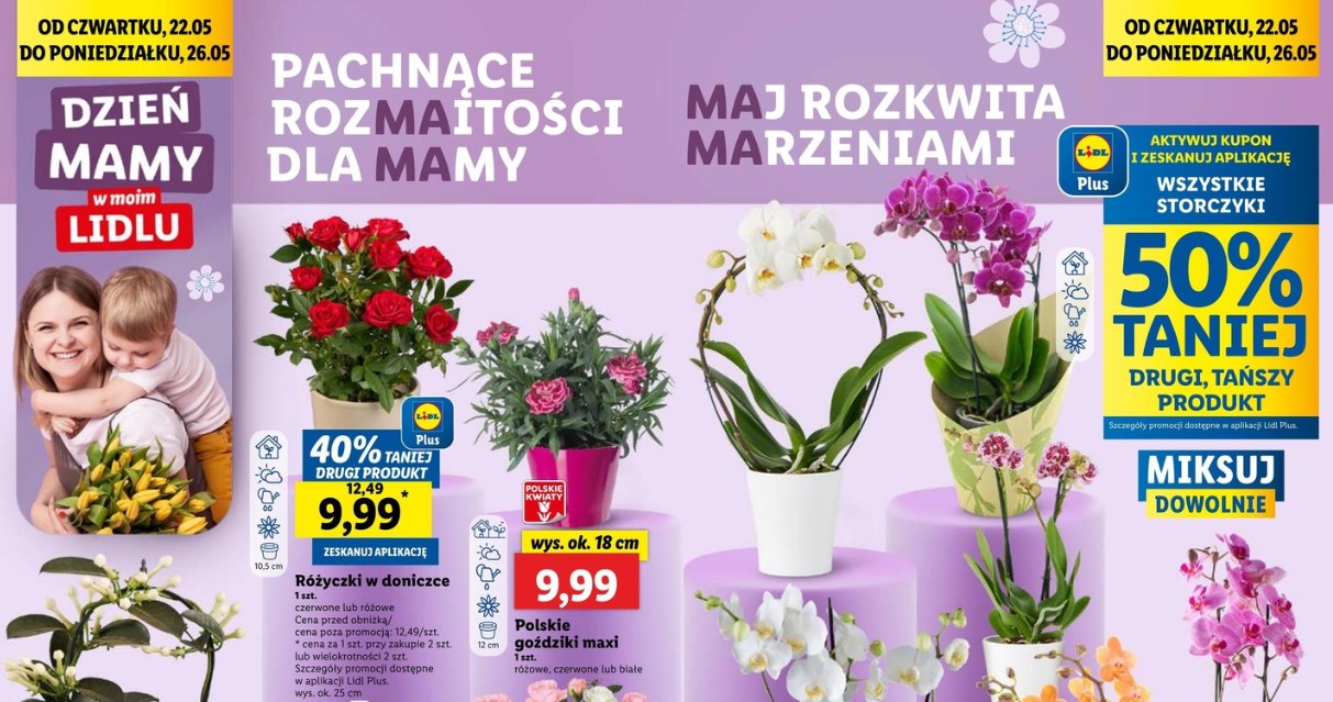 Przepiękne kwiaty i bukiety na Dzień Matki w Lidlu! Zobacz, co kupisz w promocji /Lidl