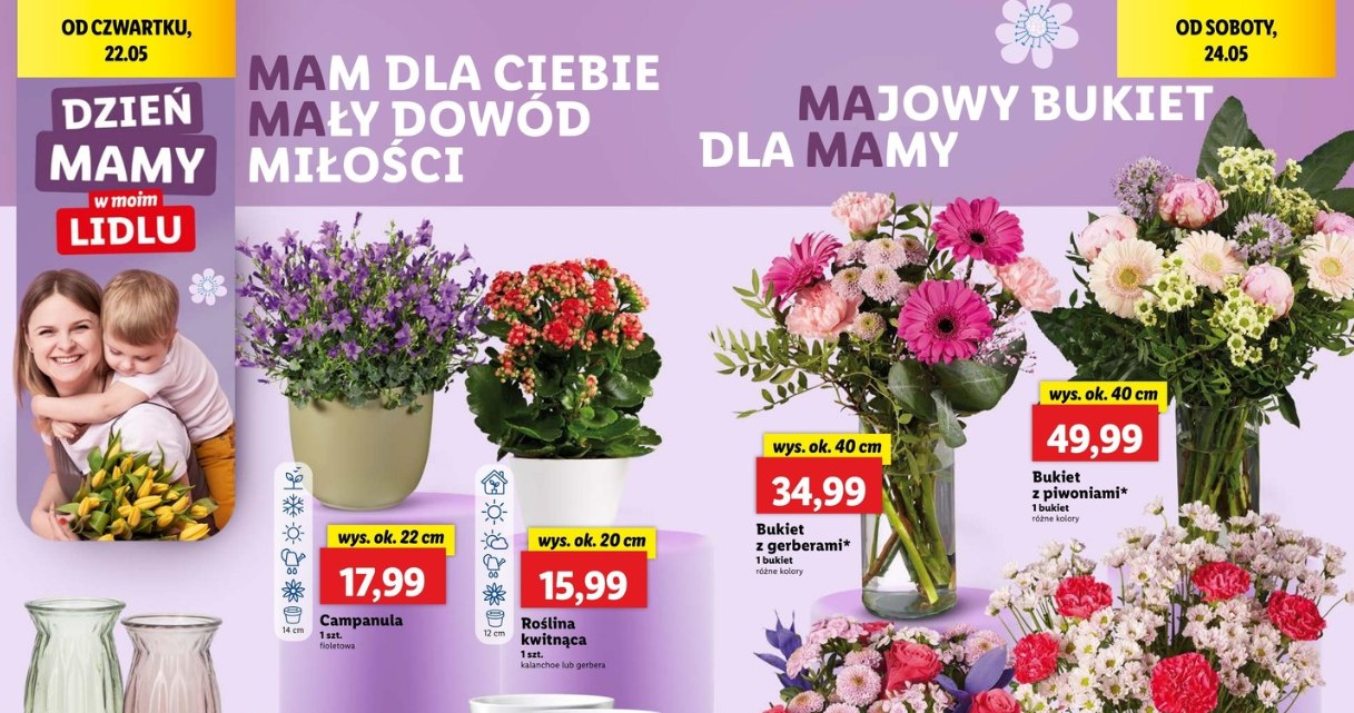 Przepiękne kwiaty i bukiety na Dzień Matki w Lidlu! Zobacz, co kupisz w promocji /Lidl