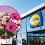 Przepiękne kwiaty i bukiety na Dzień Matki w Lidlu! Zobacz, co kupisz w promocji