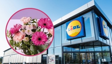 Przepiękne kwiaty i bukiety na Dzień Matki w Lidlu! Zobacz, co kupisz w promocji