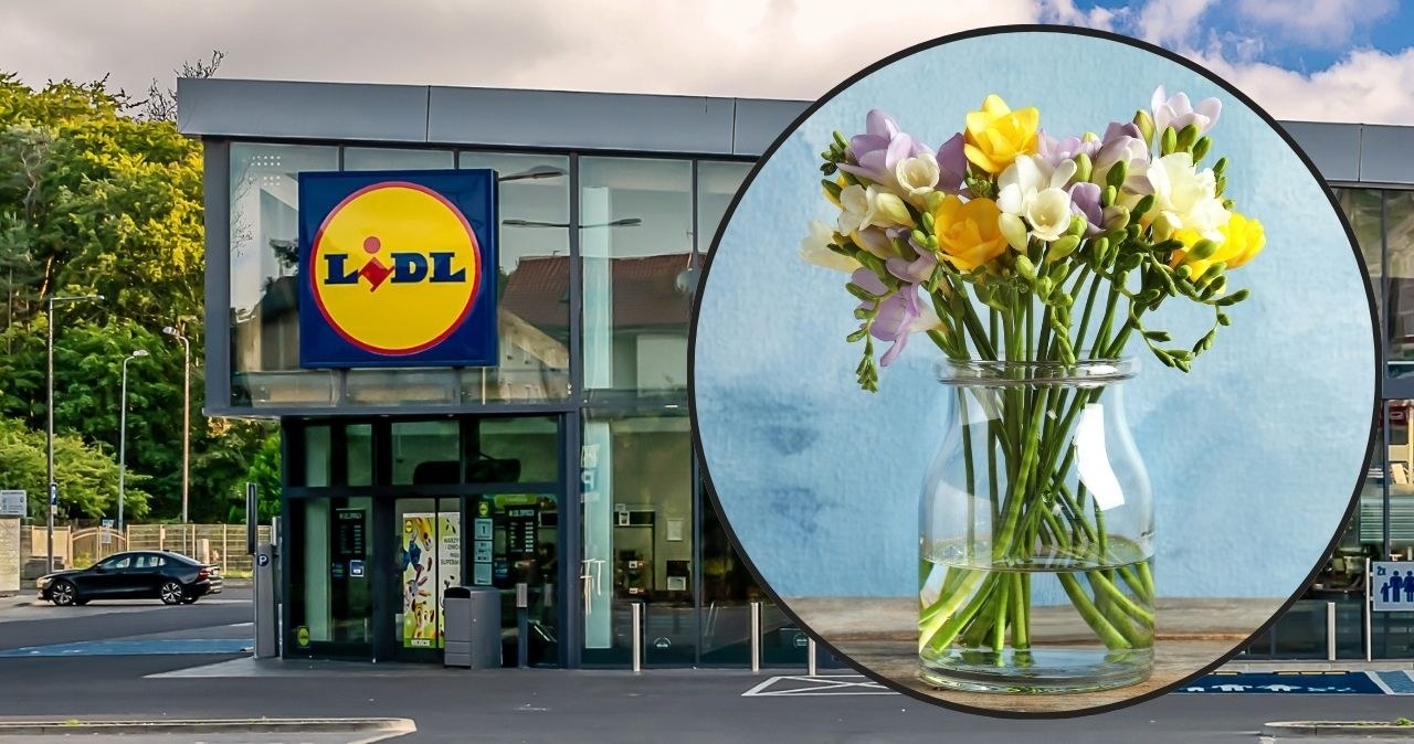 Przepiękny wazon i bukiety w ofercie Lidla /adobestock /INTERIA.PL