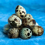 Przepiórcze jaja: Naturalny afrodyzjak i antydepresant
