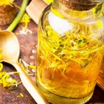 Przepis na syrop z mniszka jest w naszym domu od pokoleń. Najlepsze lekarstwo na ból gardła i kaszel