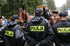 Przepychanki na terenie Tatrzańskiego Parku Narodowego