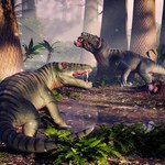 Przerażał 200 mln lat przed T-Rexem. Wielki drapieżca z Ameryki Płd. 