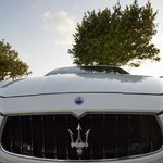 Przerobionym Maserati chciał dopłynąć do Wenecji