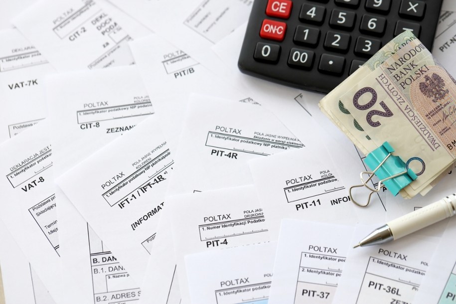 Przerwa w działaniu usługi Twój e-PIT potrwa od 4 do 14 lutego /Shutterstock