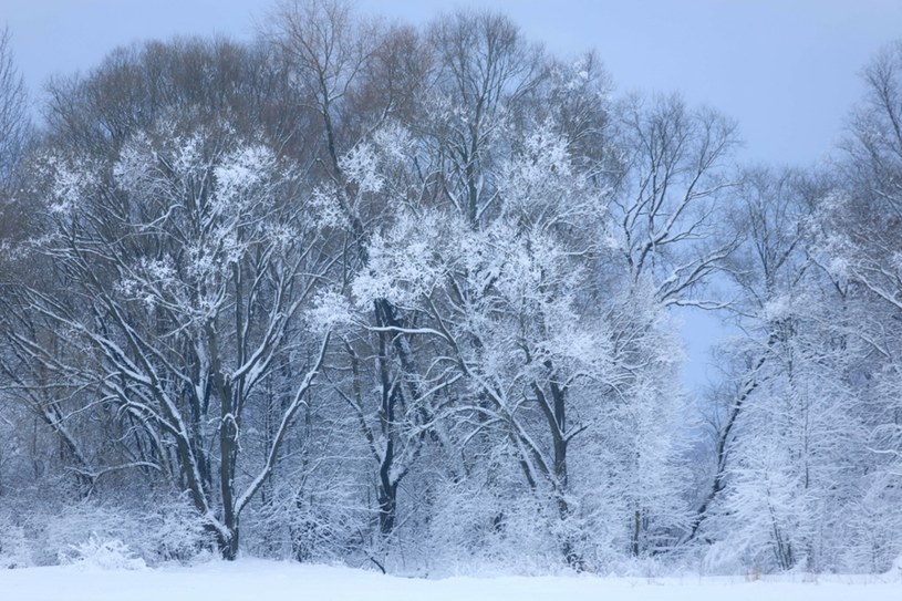 Przesilenie zimowe 2022. To najkrótszy dzień i najdłuższa noc w roku /Adam Lawnik/East News /East News