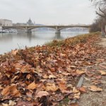 Przestali grabić liście i liczą zyski. W Polsce nie do pomyślenia