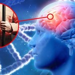 Przestępcy z implantami w mózgu stają się uczciwymi ludźmi