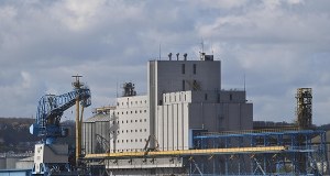 Przestój w terminalu zbożowym w Gdyni. KE: Nie było zgłoszenia