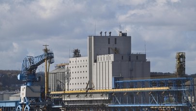 Przestój w terminalu zbożowym w Gdyni. KE: Nie było zgłoszenia