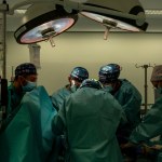 Przeszczepili świńską wątrobę żyjącemu pacjentowi. Żył z nią 38 dni