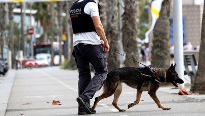 Przeszukanie w mieszkaniu imama z Ripoll. Współpracował z zamachowcami z Barcelony?