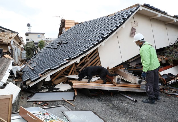 Przeszukiwanie gruzów po trzęsieniu ziemi w Japonii /JIJI PRESS JAPAN /PAP/EPA