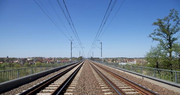 Przetarg przepadł. Następny odcinek Rail Baltiki bez projektu. Fot. PKP PLK /Informacja prasowa