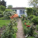 Przetestowali warzywa i owoce z działek ROD. Wyniki dają do myślenia