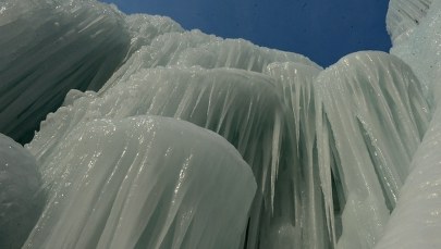 Przewaga zimnej kalkulacji