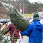 Przewożenie choinki na dachu. W takim przypadku policjant wypisze mandat 